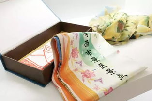 黑龍江雞西絲巾地圖亮相聯(lián)合國會展，文化產(chǎn)品獲國際贊譽